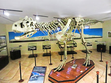 A cast of a Carnotosaurus skeleton at Parque Cretacico in Sucre, Bolivia.