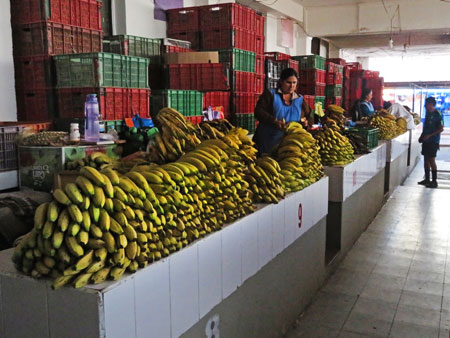 This lady has gone bananas at the Mercado Central in Sucre, Bolivia.