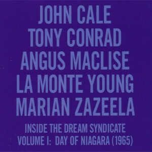 Inside the Dream Syndicate - Volume 1: Day of Niagara (1965)
